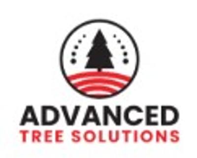 Expert Tree Care Services | Advanced Tree Solutions